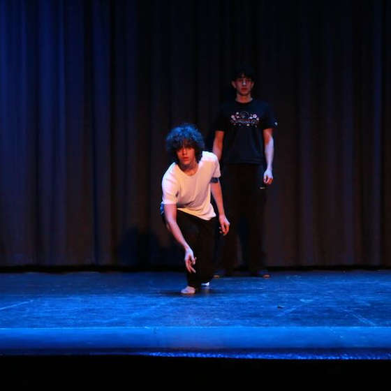 Soli-Arbeiten Eurythmie 11. Klasse 2026