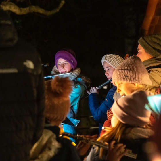 Waldorf-Mauer Adventbasar 2025