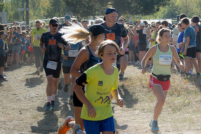 Anmeldung zum 7. Maurer Waldorf Lauf