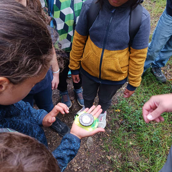 Abenteuer-Sommerwoche Waldorf Mauer