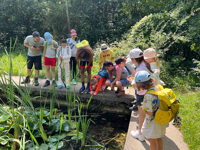 Abenteuer-Sommer-Camps Waldorf Mauer